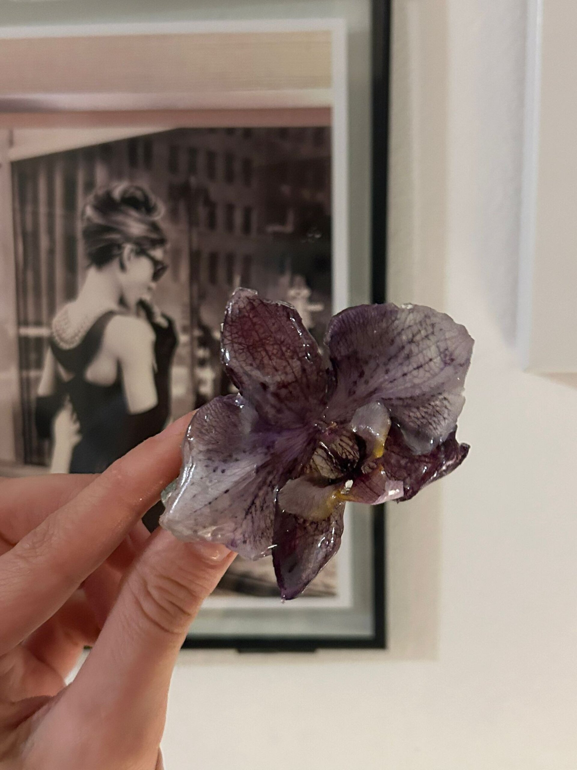 Hebilla Cabello Orquidea Lila 💜 - 2