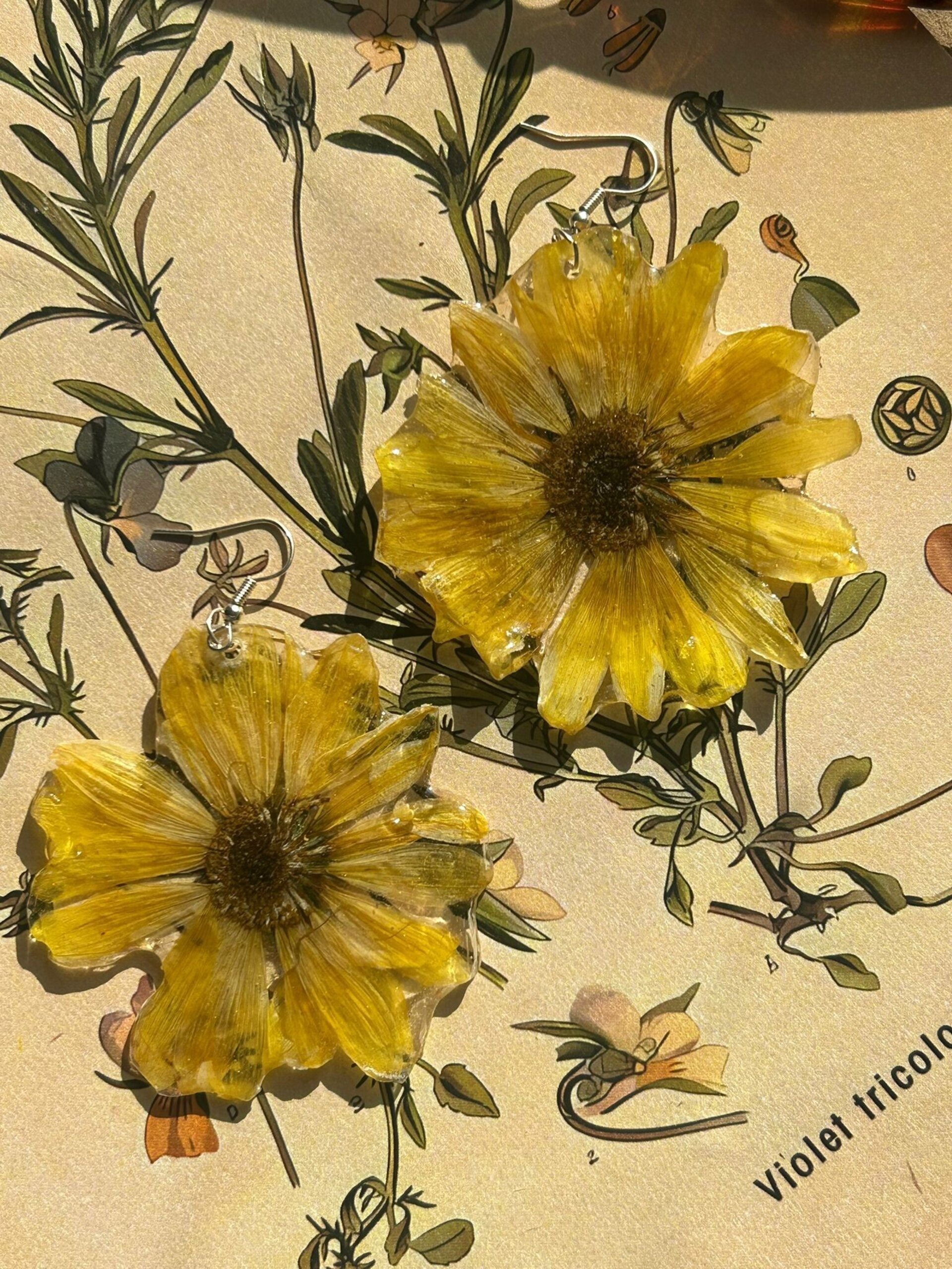 Pendientes Celine 🌻 - Cosmos grande - 1