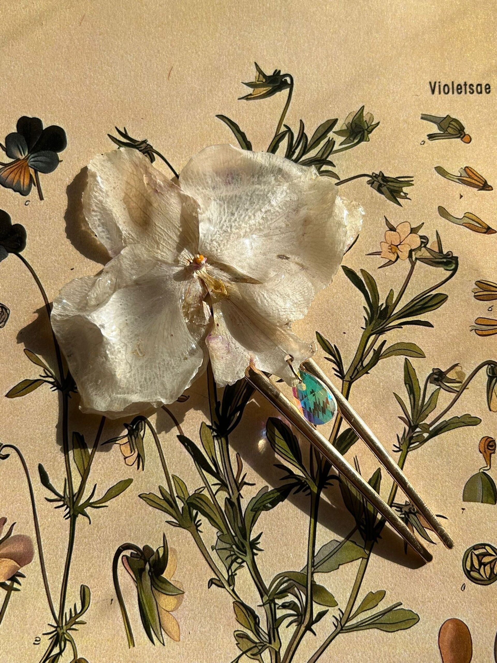 Pinza Francesa Orquidea Crystal ❄️ - 2