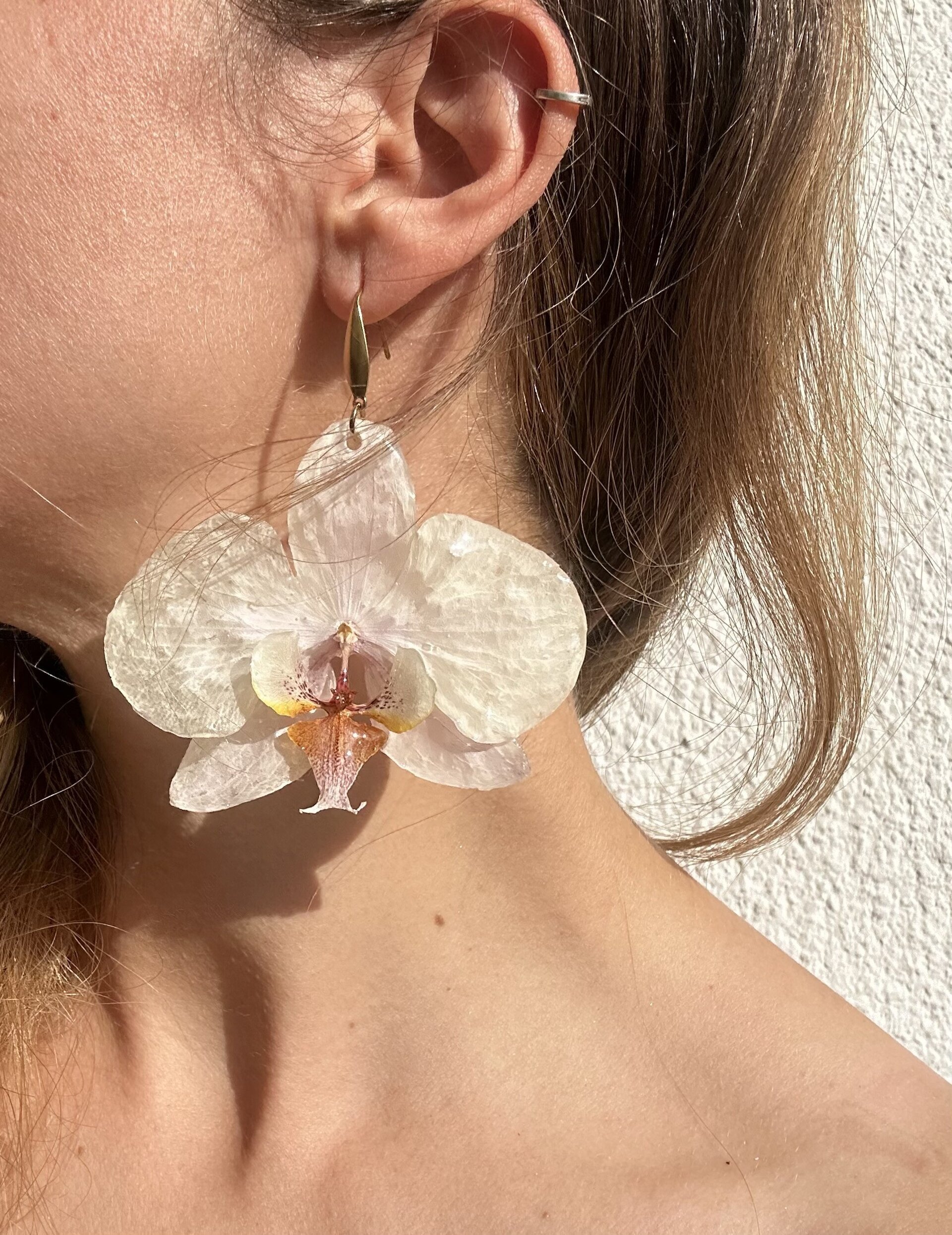 Orquideas Blancas 🤍 - 1