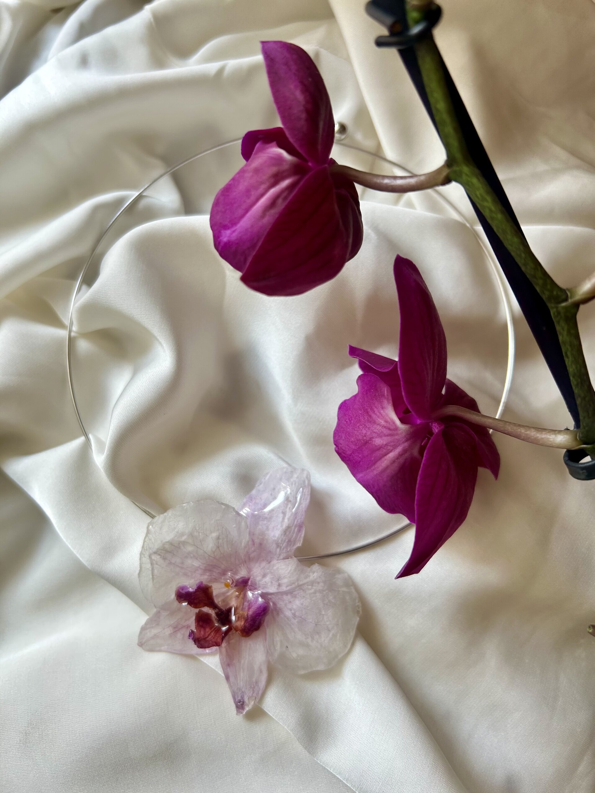 Collar Orquídea Blanca Lila 🔮 - 2