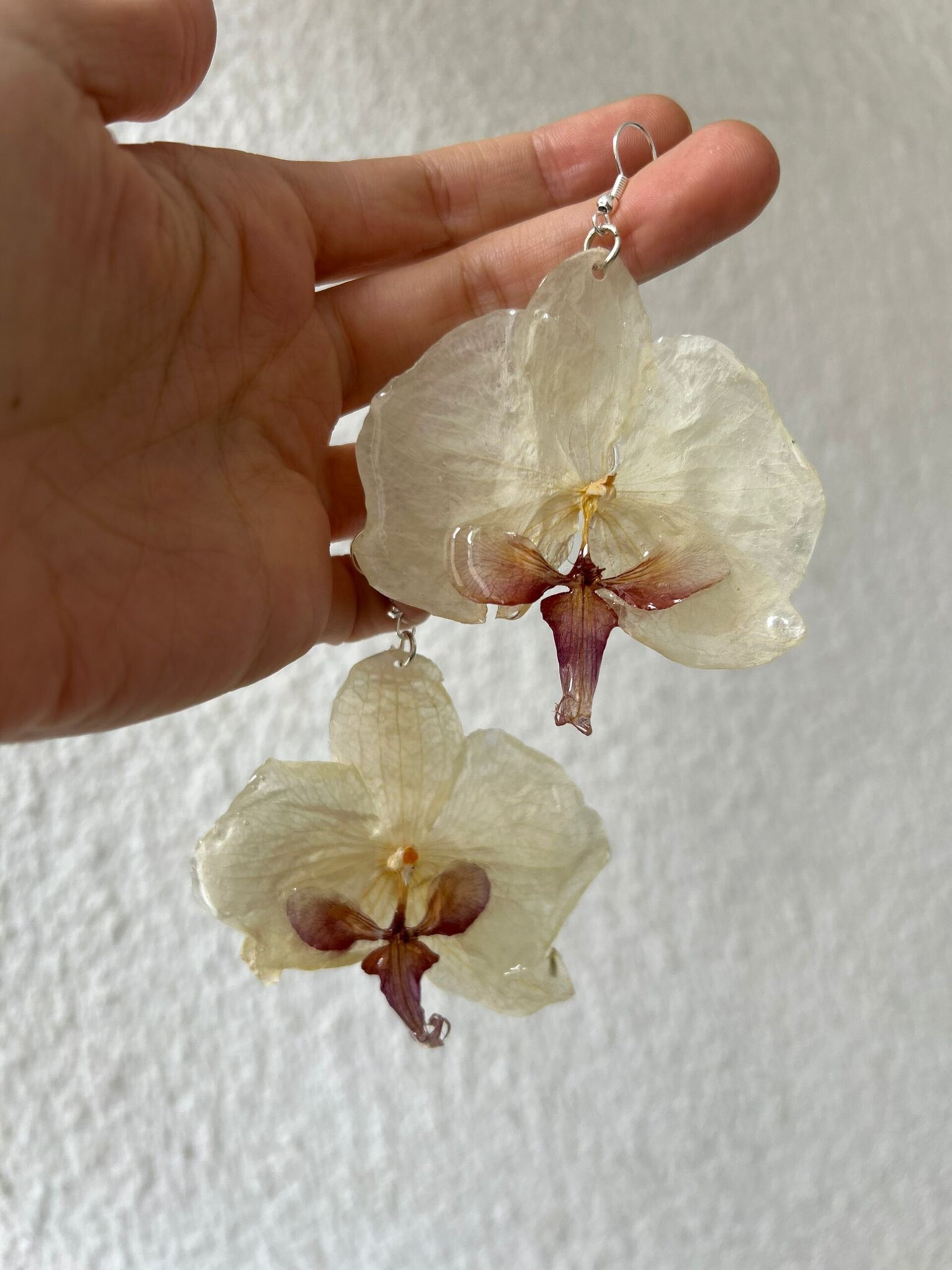 Orquídeas Blancas Lola🤍 - 3