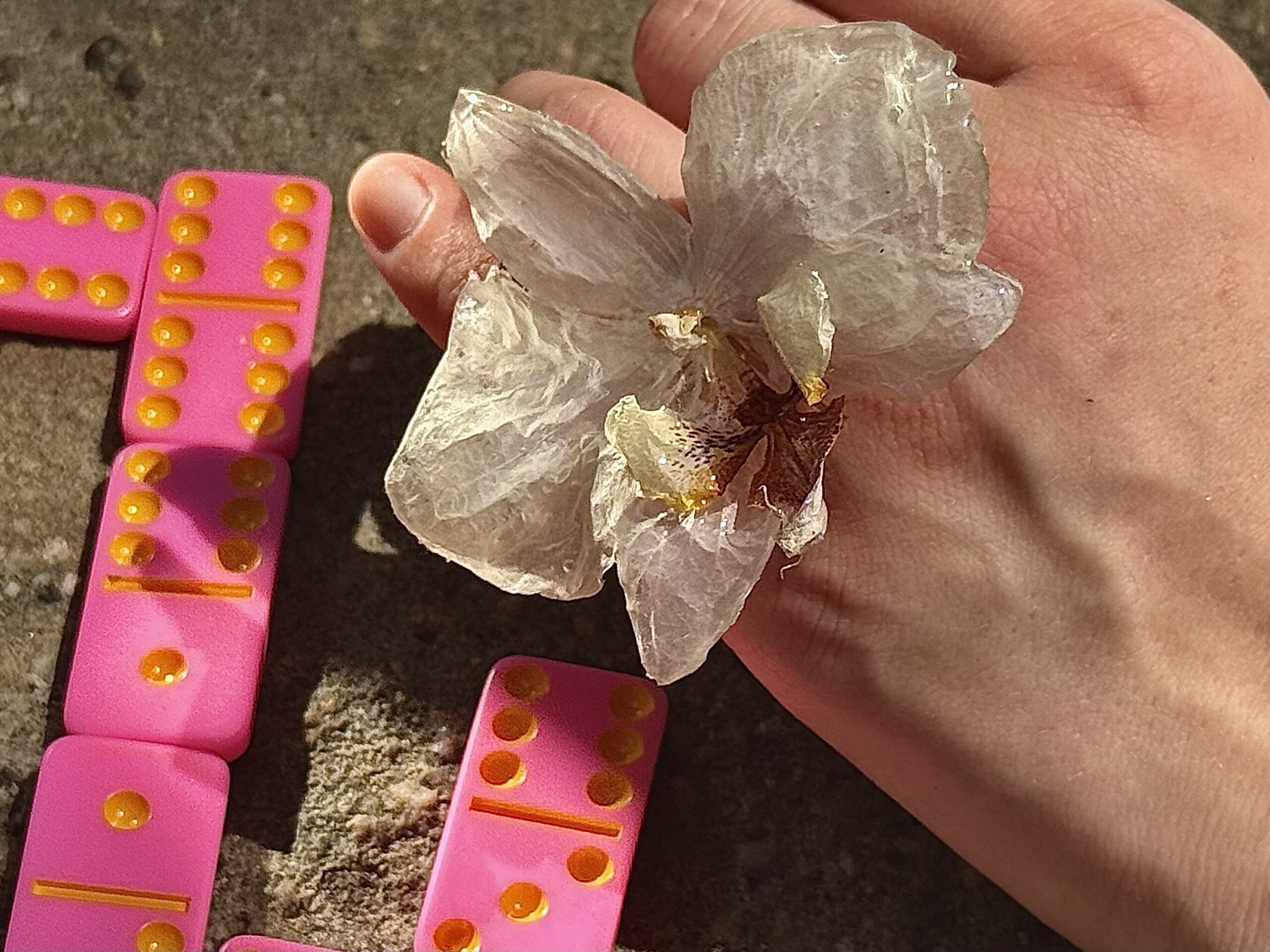 Anillo 💍 Monica  - Orquidea Maxi Blanca ✨ - 1