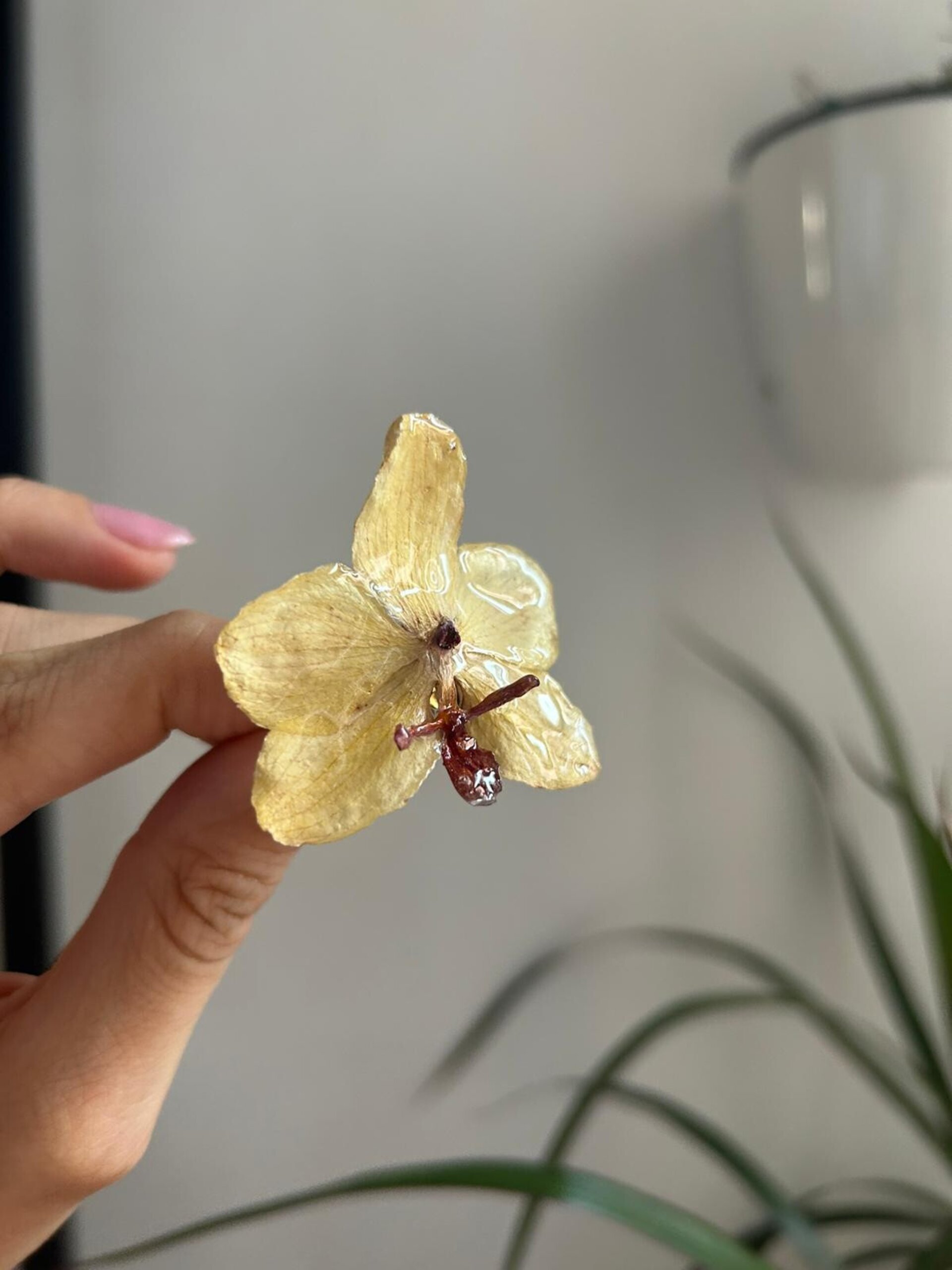 Anillo Orquidea Butter Yellow 🧈 - 2