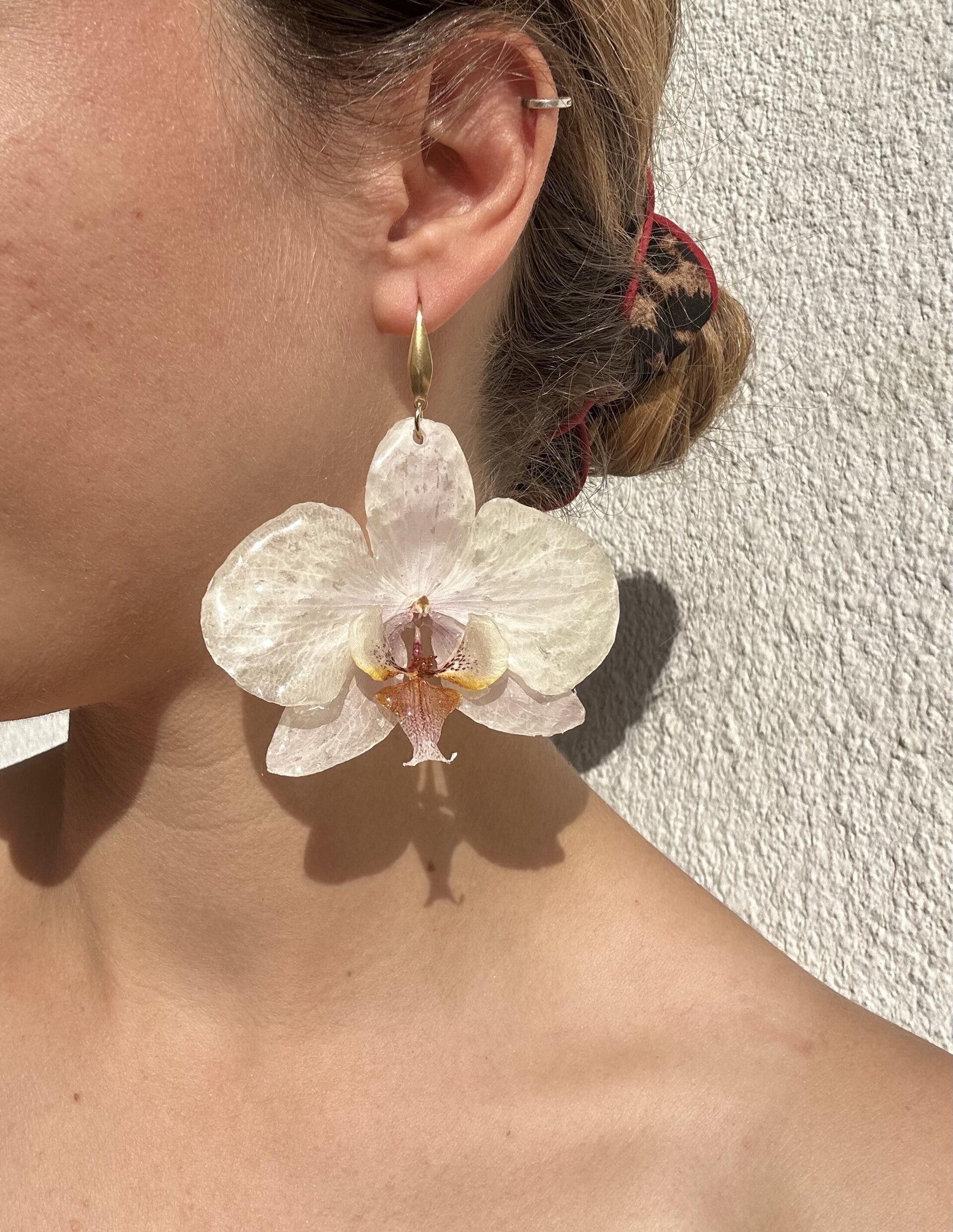 Orquideas Blancas 🤍 - 4
