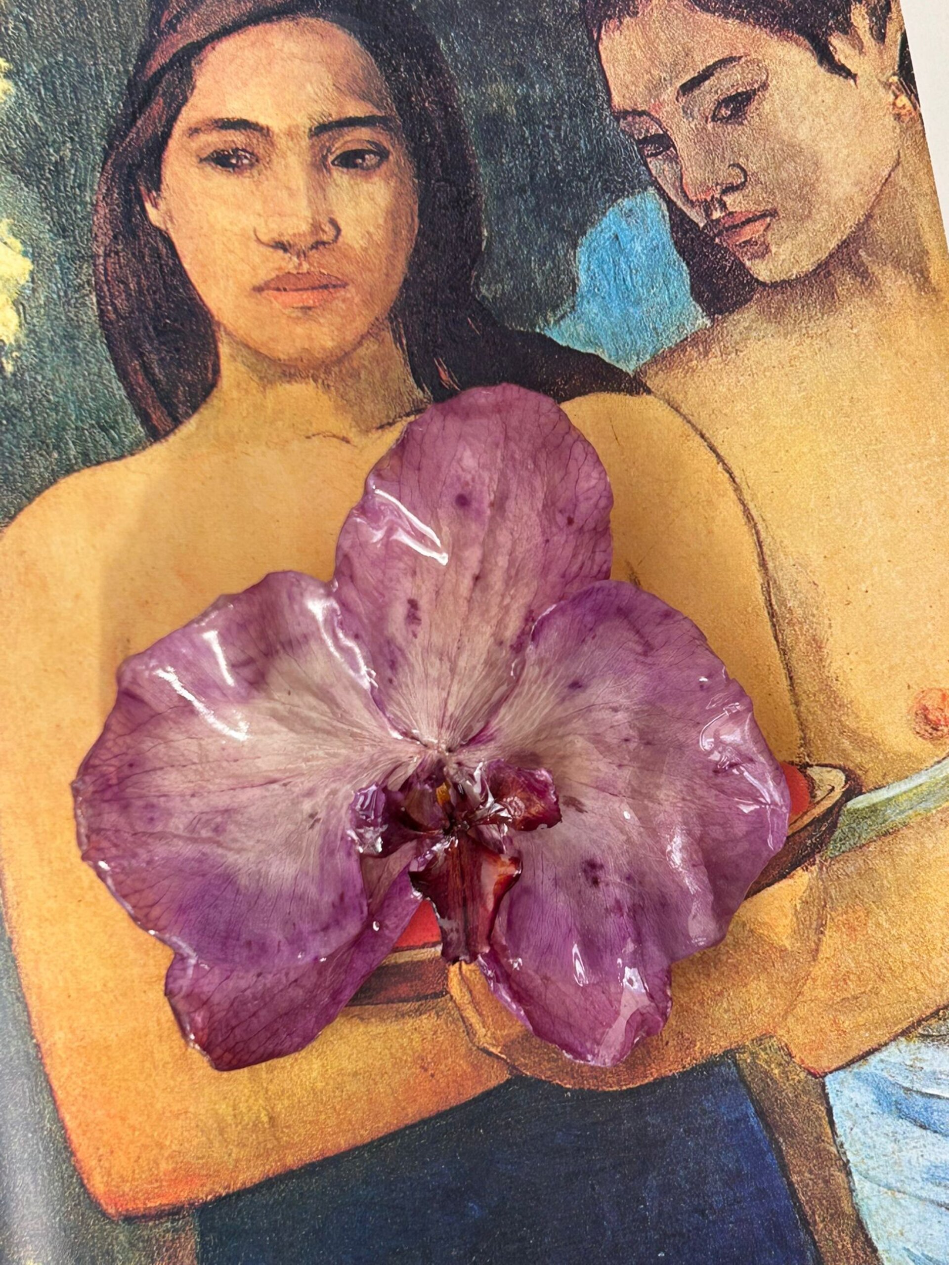 Wildflower❤️‍🔥 - Hebilla Orquídea Lila XXL - 4