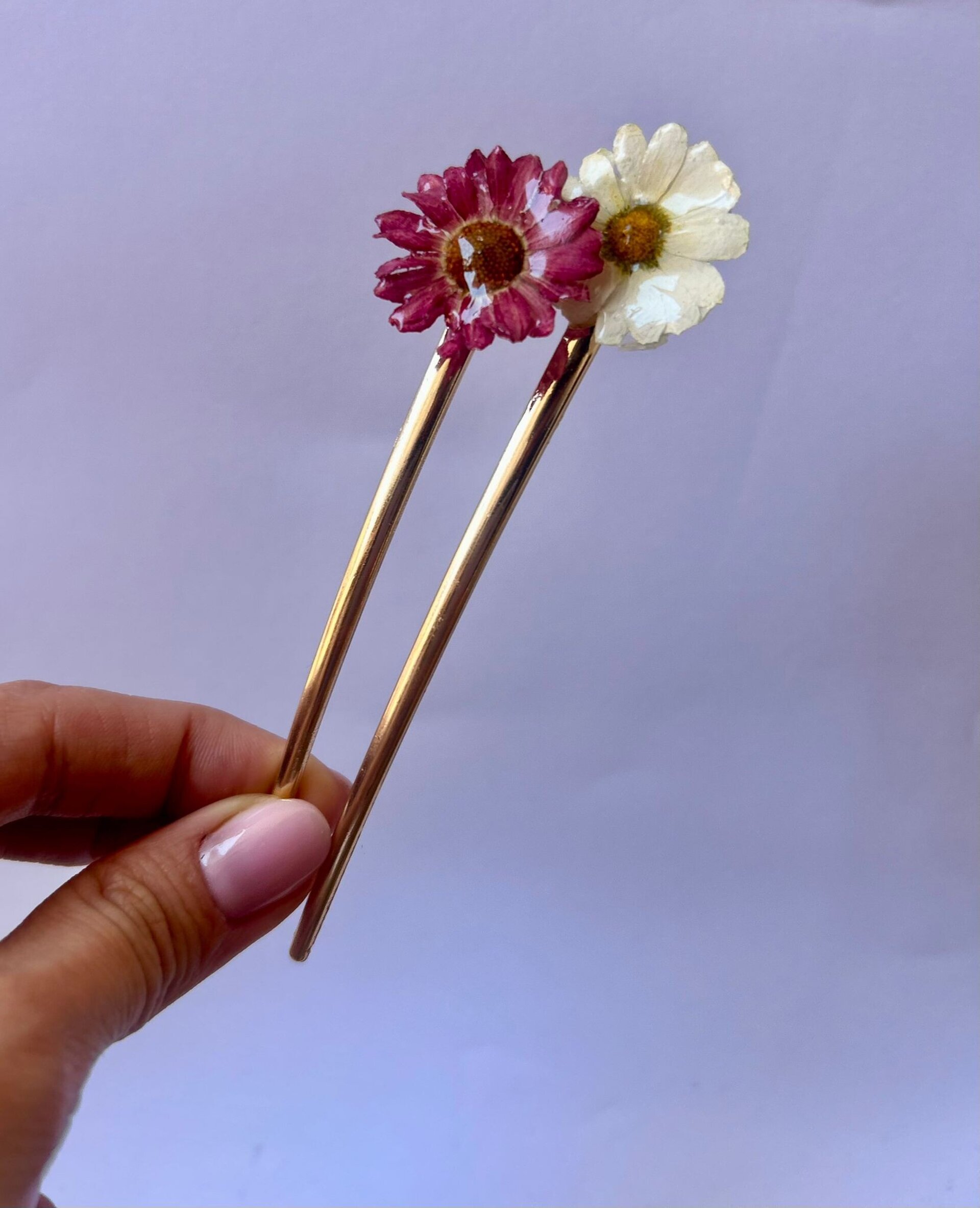 French Pins Menton & St. Tropez🌻 - Maréa Bloom - 2