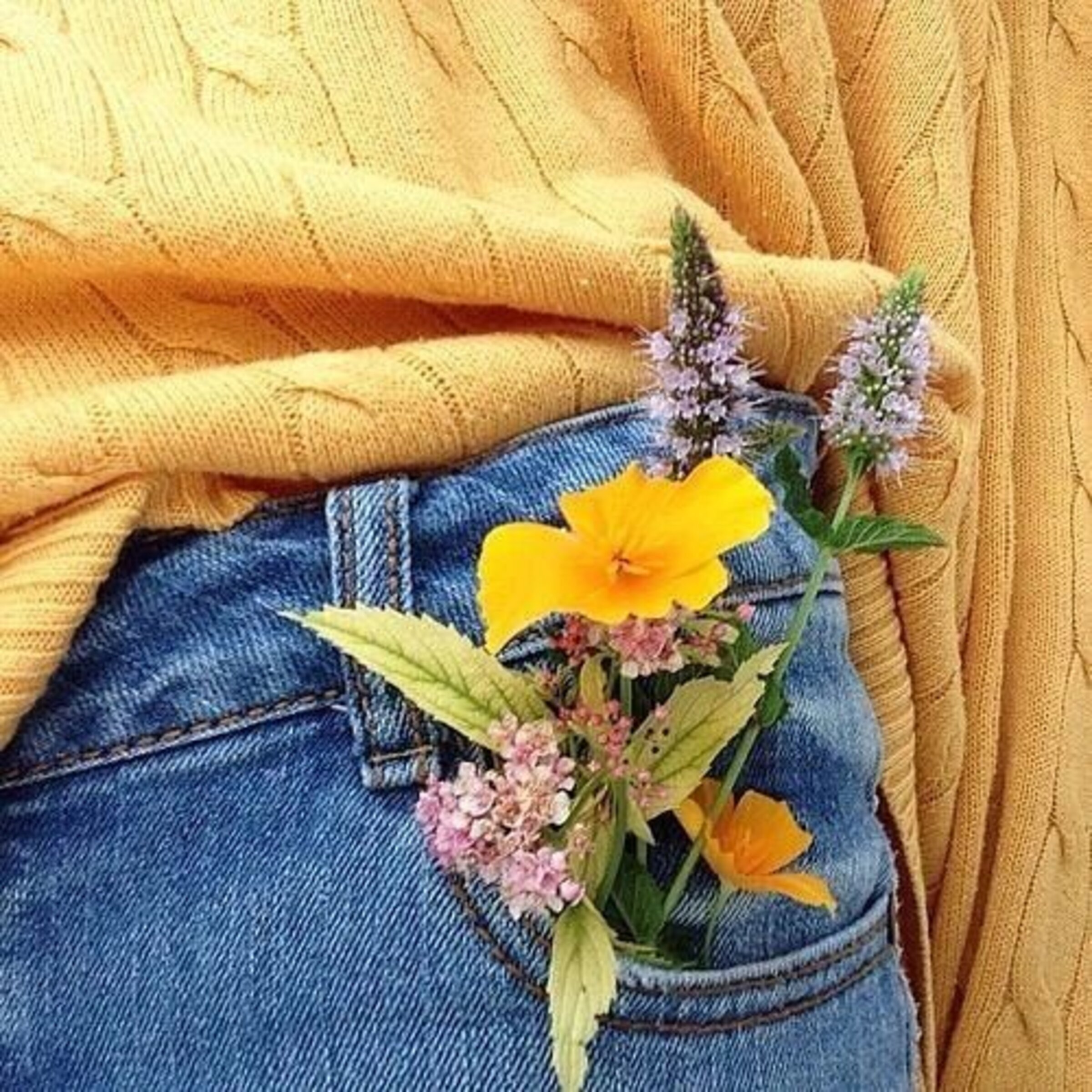 | Outlet🌺|