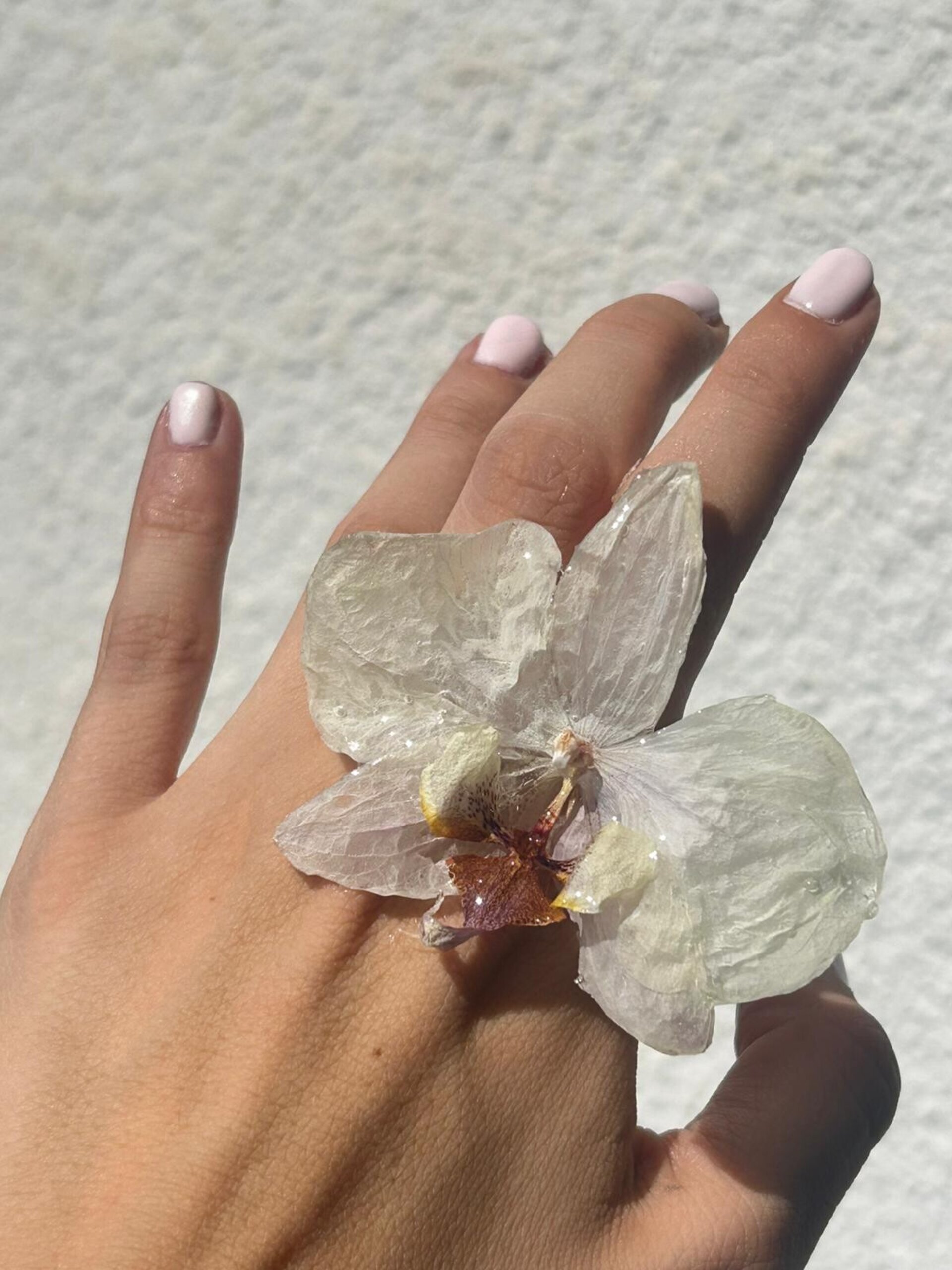 Anillos Florales ✨ - 3