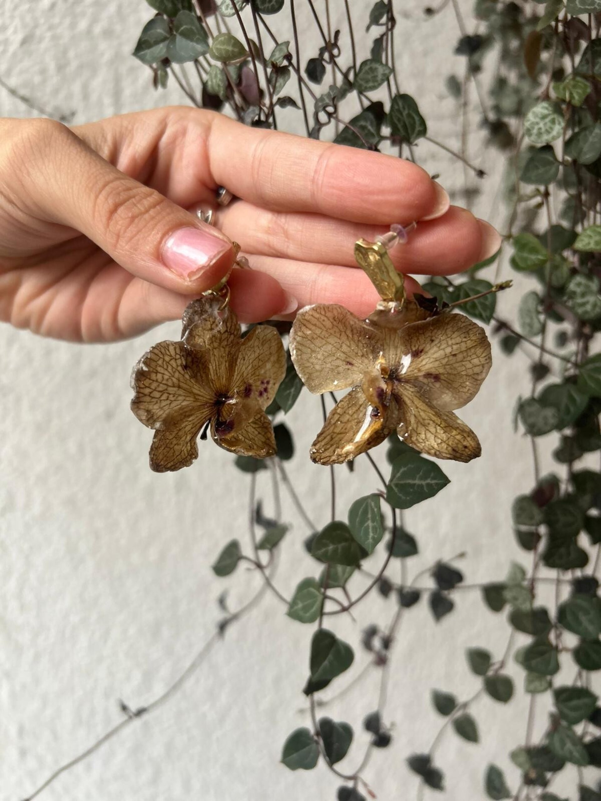 Pendientes Orquideas Mocha Coffee ☕ - 4
