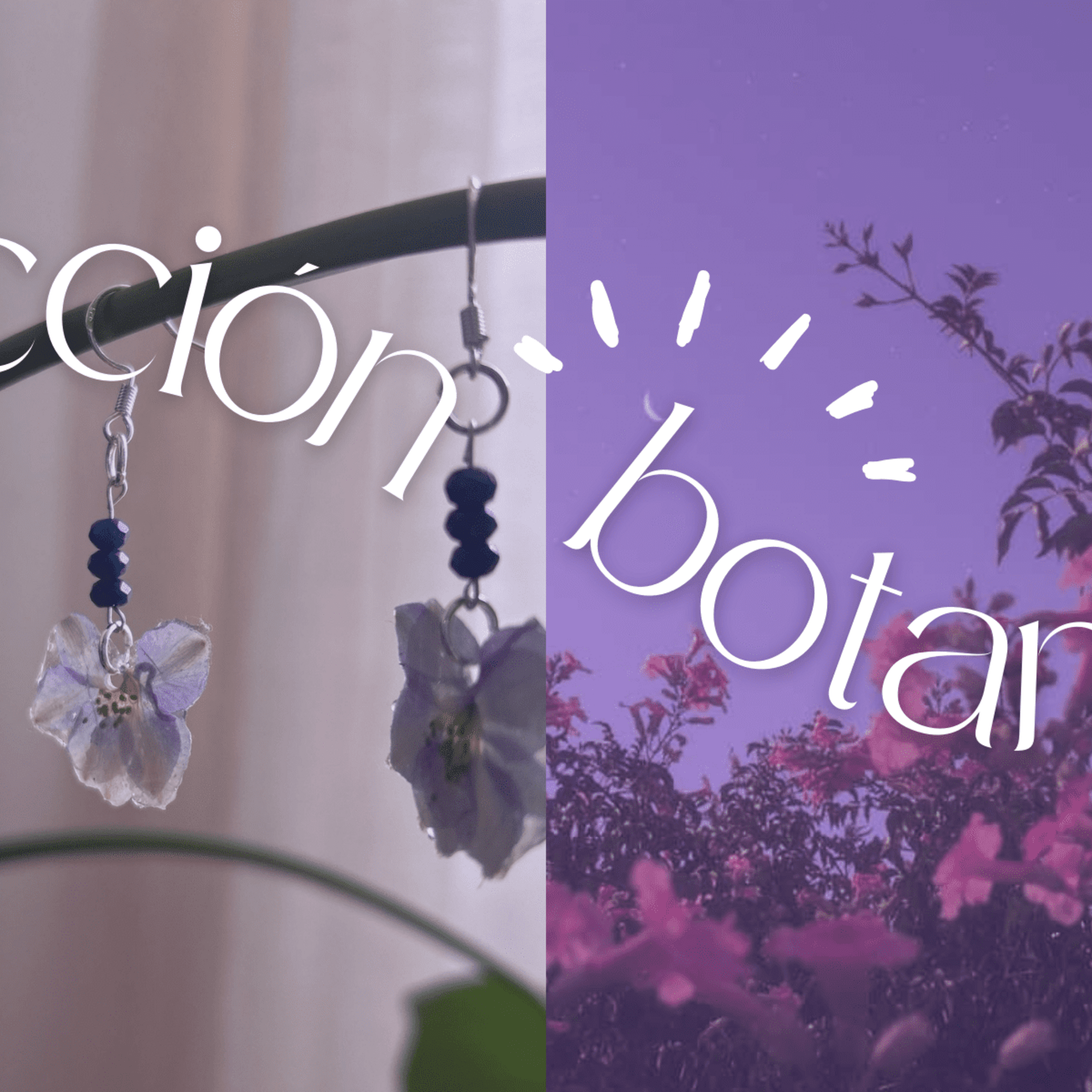 ✨REBAJAS BOTANICALS ✨🌿