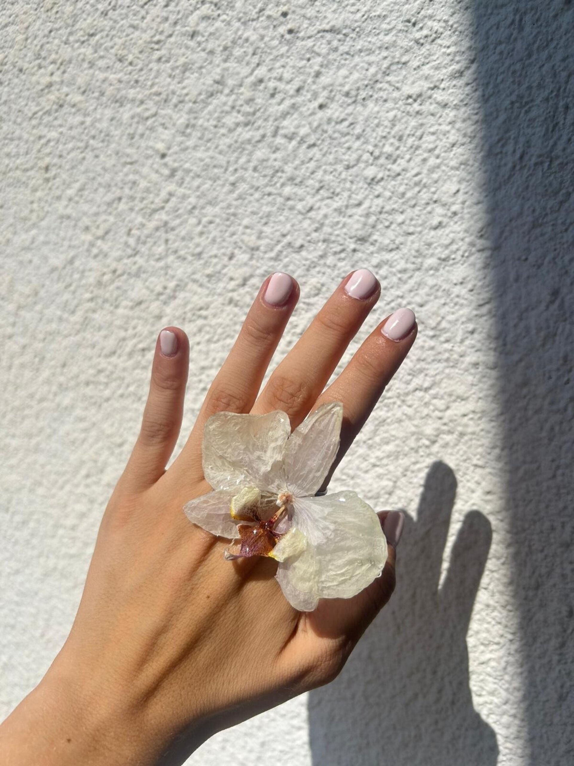 Anillos Florales ✨ - 4