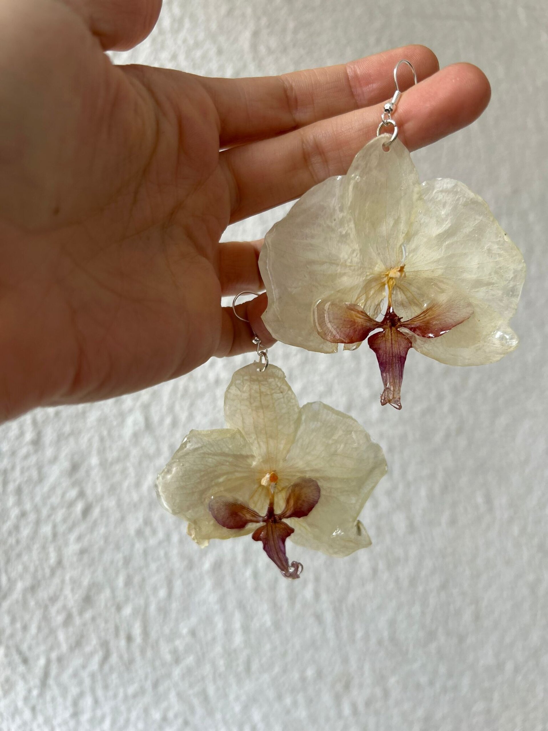 Orquídeas Blancas Lola🤍 - 2
