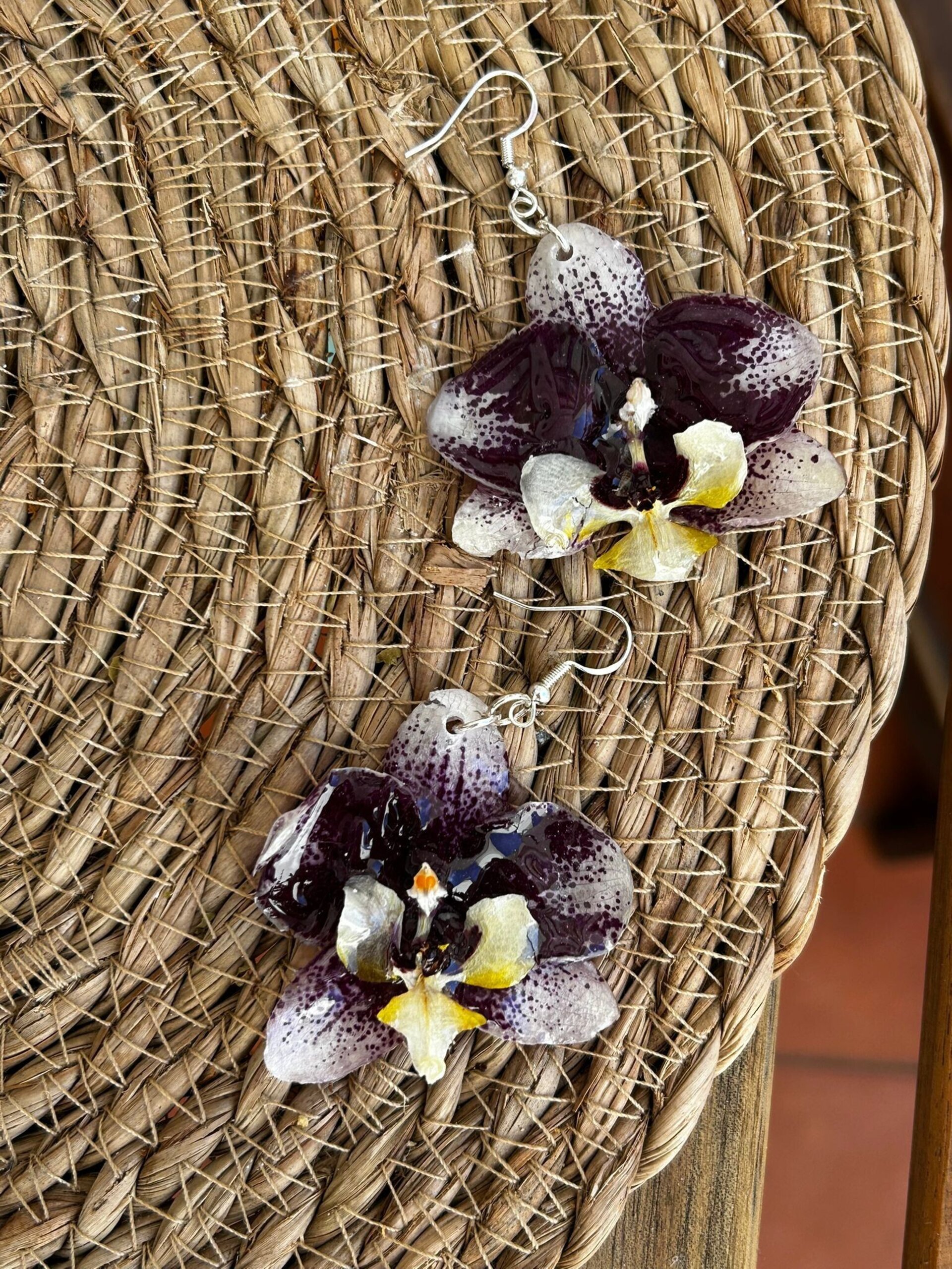 Mini Orquídeas Julia 🌸 - 3