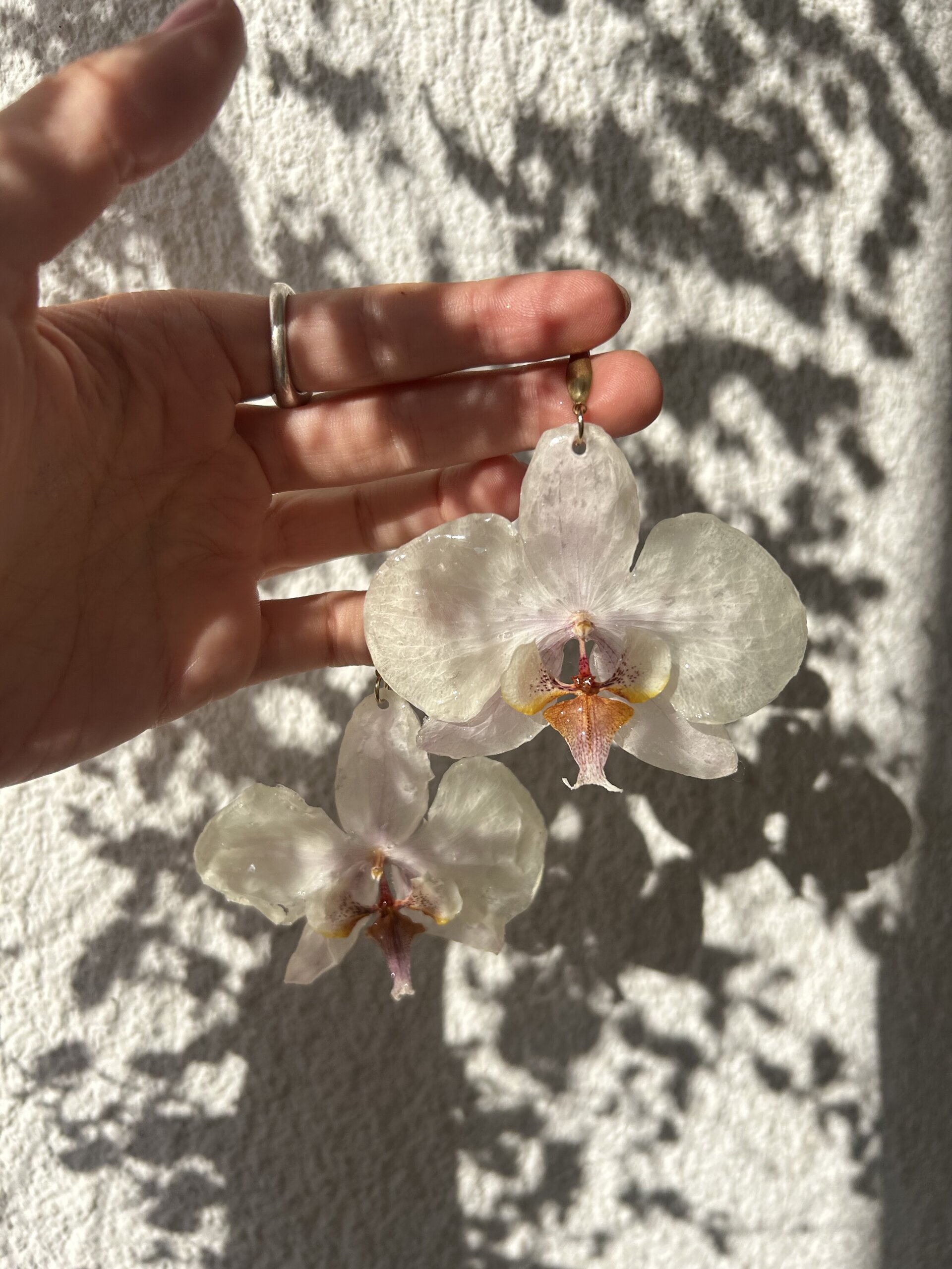 Orquideas Blancas 🤍 - 3