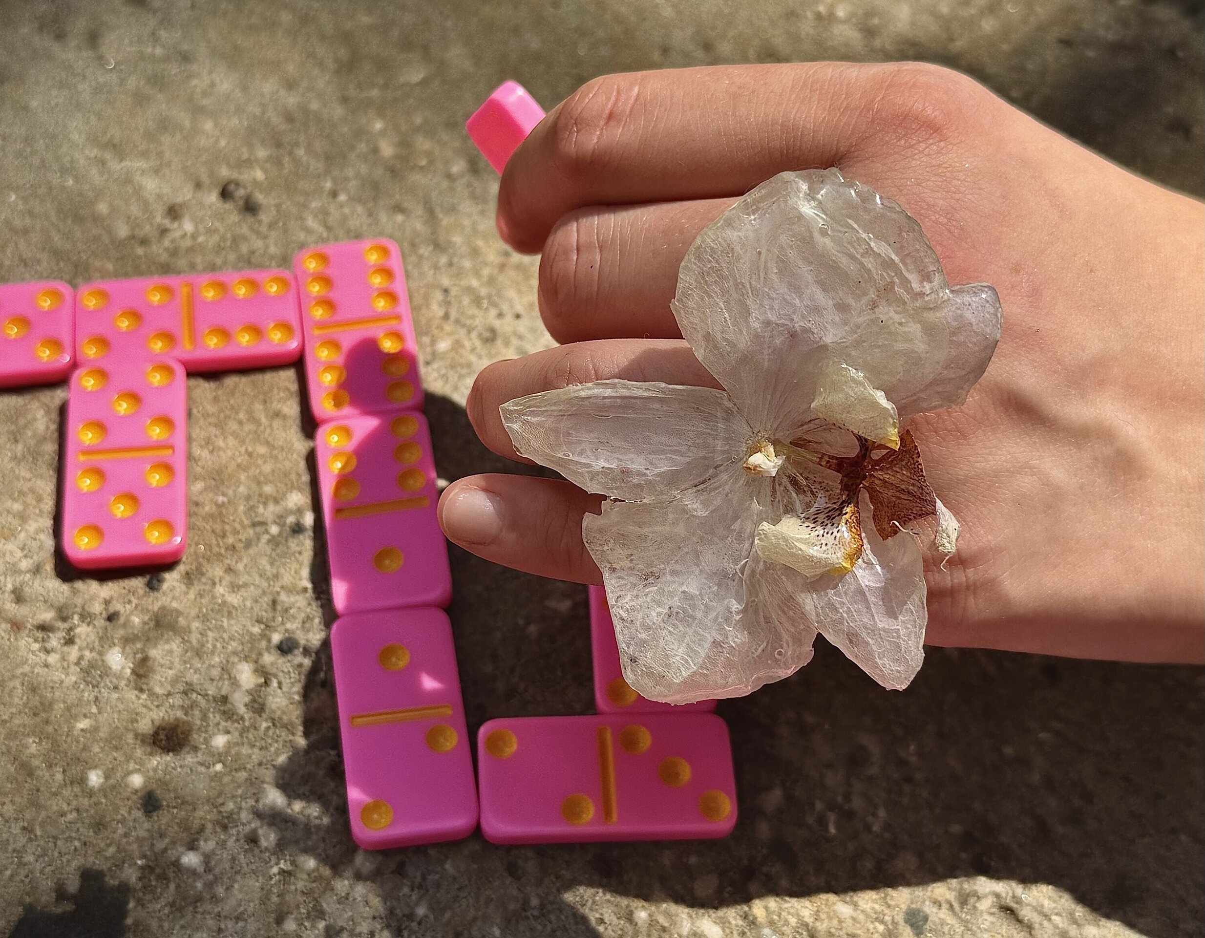 Anillo 💍 Monica  - Orquidea Maxi Blanca ✨ - 3