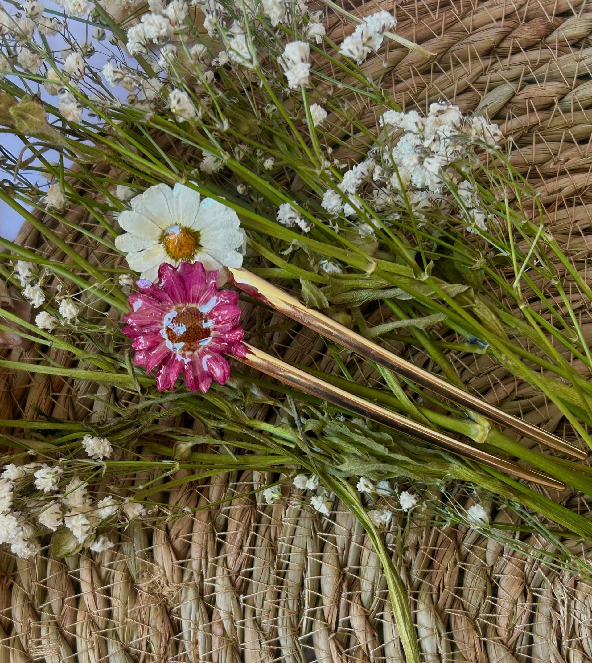 French Pins Menton & St. Tropez🌻 - Maréa Bloom - 6