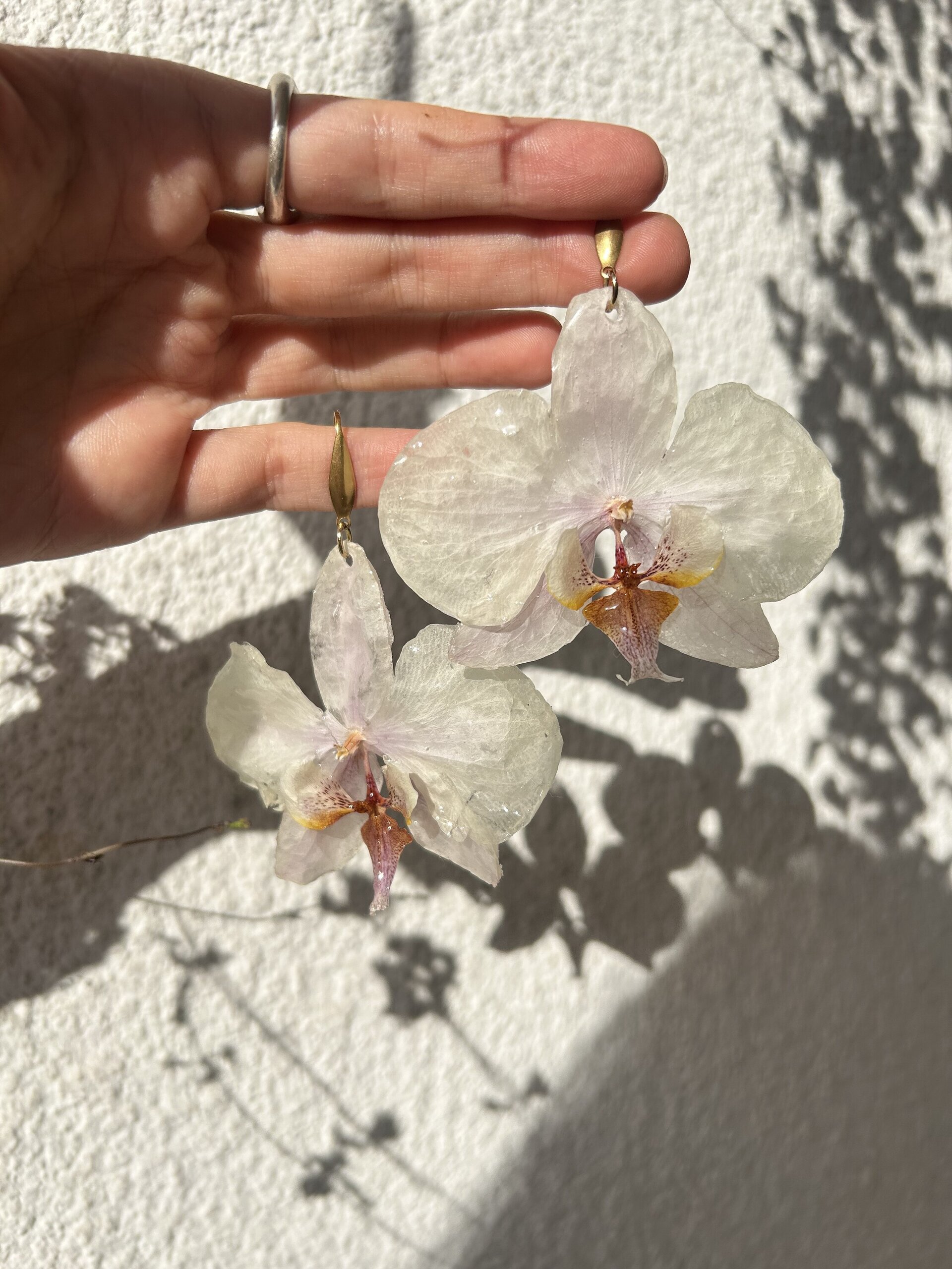Orquideas Blancas 🤍 - 2